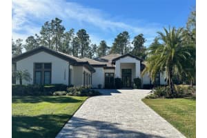 15600 PENDIO DRIVE, BELLA COLLINA, FL 34756 - MLS#MFRG5105365