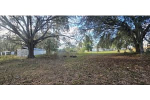17100 252ND AVENUE, UMATILLA, FL 32784 Sold 01/26/26
