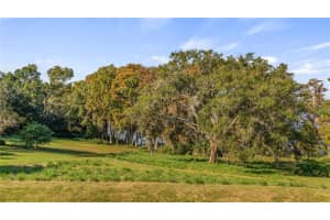 LAKE SWATARA DR, EUSTIS, FL 32736 - MLS#MFRG5105395