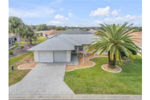 17490 SE 110TH TERRACE, SUMMERFIELD, FL 34491 - MLS#MFRG5105403