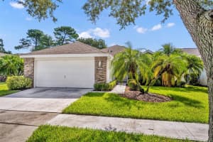 1812 STAFFORD SPRINGS BOULEVARD, MOUNT DORA, FL 32757 - MLS#MFRG5105423