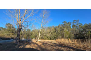 14157 209TH TERRACE, UMATILLA, FL 32784 - MLS#MFRG5105430