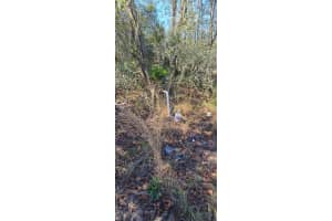 14157 209TH TERRACE, UMATILLA, FL 32784 - MLS#MFRG5105430