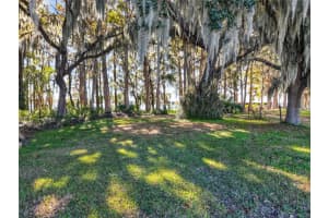 11911 LANE PARK ROAD, TAVARES, FL 32778 - MLS#MFRG5105471