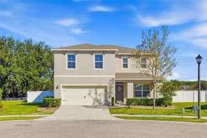 3060 BETHPAGE LOOP, MOUNT DORA, FL 32757 - MLS#MFRG5105531