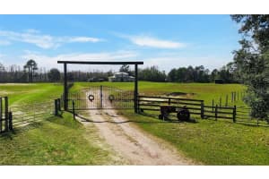 10909 MATTIODA ROAD, GROVELAND, FL 34736 - MLS#MFRG5105587
