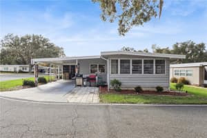 103 Poinsettia, LEESBURG 103 Poinsettia, LEESBURG