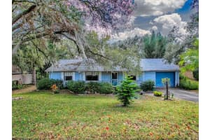 12534 WEDGEFIELD DRIVE, GRAND ISLAND, FL 32735 - MLS#MFRG5105646
