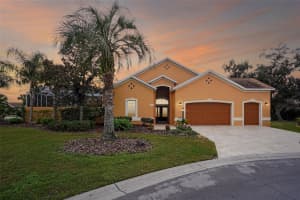 1902 FRANCO PLACE, THE VILLAGES, FL 32159 - MLS#MFRG5105726