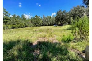 STEWARD RD, EUSTIS, FL 32726 - MLS#MFRG5105750