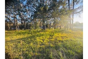 17476 NICHOLAS AVENUE, BROOKSVILLE, FL 34604 - MLS#MFRG5105810