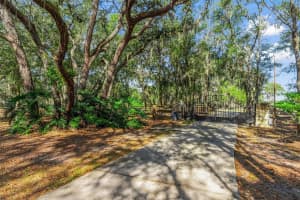 5100 GRIFFIN VIEW DRIVE, LADY LAKE, FL 32159 - MLS#MFRG5105824