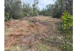 LAKESIDE DR, DELAND, FL 32720 - MLS#MFRG5105834