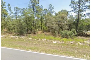 0 RIGEWOOD ROAD, DUNNELLON, FL 34431 - MLS#MFRG5105837