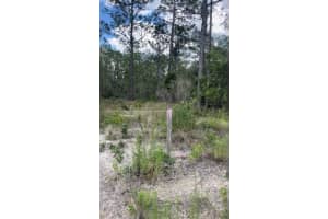 0 RIGEWOOD ROAD, DUNNELLON, FL 34431 - MLS#MFRG5105837