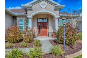 10921 168TH LOOP, SUMMERFIELD, FL 34491 - MLS#MFRG5105908