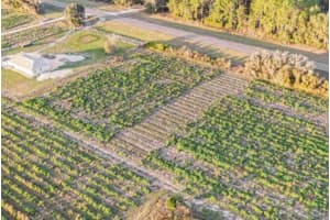 00 HWY 98, DADE CITY, FL 33523 - MLS#MFRG5105954