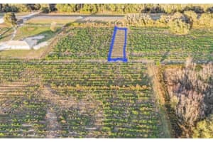 00 HWY 98, DADE CITY, FL 33523 - MLS#MFRG5105954