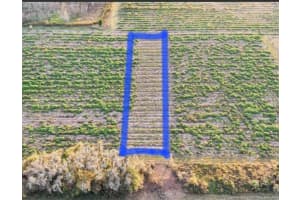 00 HWY 98, DADE CITY, FL 33523 - MLS#MFRG5105954