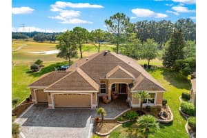 17274 Se 85th Willowick Cir, THE VILLAGES