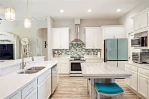 17167 113TH AVENUE, SUMMERFIELD, FL 34491 - MLS#MFRG5106009