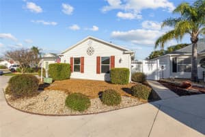 1007 ROCKVILLE PLACE, THE VILLAGES, FL 32162 - MLS#MFRG5106011