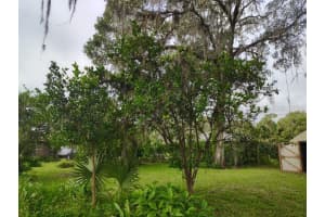 20621 SE HIGHWAY 42, UMATILLA, FL 32784 - MLS#MFRG5106110