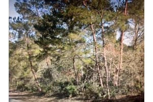 3248 GLEN SPRINGS AVENUE, LAKE PLACID, FL 33852 - MLS#MFRG5106120