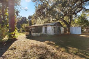 1582 S US 301, SUMTERVILLE, FL 33585 - MLS#MFRG5106179