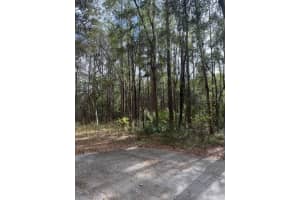 1074 LEGION COURT, HERNANDO, FL 34442 - MLS#MFRG5106269