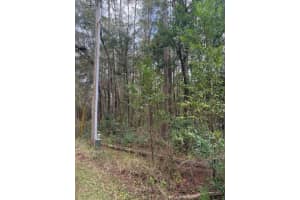 1074 LEGION COURT, HERNANDO, FL 34442 - MLS#MFRG5106269