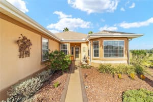 9345 136TH PLACE, SUMMERFIELD, FL 34491 - MLS#MFRG5106276