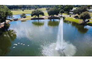 116 LYONIA LANE, WILDWOOD, FL 34785 - MLS#MFRG5106351