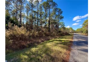 LOT 15 APRICOT AVENUE, EUSTIS, FL 32736 Sold 03/13/26