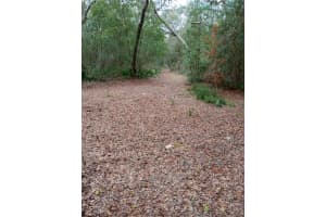 28093 SE HIGHWAY 42, UMATILLA, FL 32784 - MLS#MFRG5106506