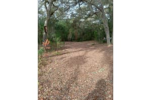 28093 SE HIGHWAY 42, UMATILLA, FL 32784 - MLS#MFRG5106506