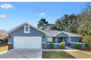 8288 159TH LANE, SUMMERFIELD, FL 34491 - MLS#MFRG5106527