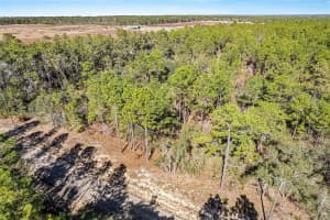 8949 FARRINGTON DRIVE, CITRUS SPRINGS, FL 34433 - MLS#MFRG5106546