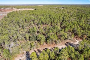 8949 FARRINGTON DRIVE, CITRUS SPRINGS, FL 34433 - MLS#MFRG5106546