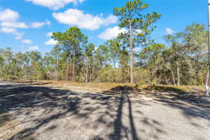 8949 FARRINGTON DRIVE, CITRUS SPRINGS, FL 34433 - MLS#MFRG5106546