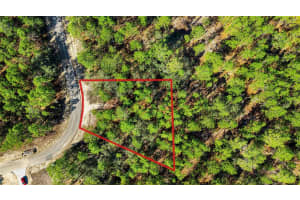 8941 FARRINGTON DRIVE, CITRUS SPRINGS, FL 34433 - MLS#MFRG5106578