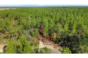 8941 FARRINGTON DRIVE, CITRUS SPRINGS, FL 34433 - MLS#MFRG5106578