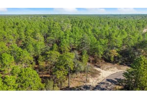 8941 FARRINGTON DRIVE, CITRUS SPRINGS, FL 34433 - MLS#MFRG5106578