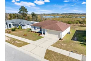 1009 BLUEGRASS DRIVE, GROVELAND, FL 34736 - MLS#MFRG5106621