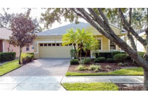 146 CREPE MYRTLE DRIVE, GROVELAND, FL 34736 - MLS#MFRG5106624