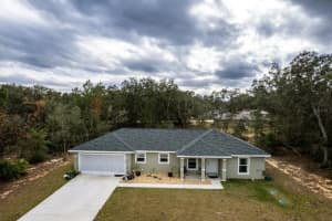 96 Fisher Way Trl, OCKLAWAHA