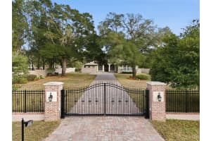 30248 RAINEY ROAD, SORRENTO, FL 32776 - MLS#MFRG5106639