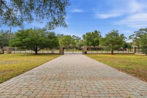 30248 RAINEY ROAD, SORRENTO, FL 32776 - MLS#MFRG5106639