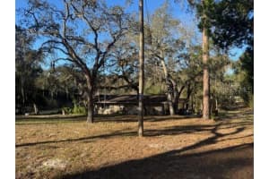 12512 CR 685, WEBSTER, FL 33597 - MLS#MFRG5106689