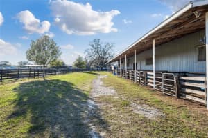 815 145TH STREET, SUMMERFIELD, FL 34491 - MLS#MFRG5106690